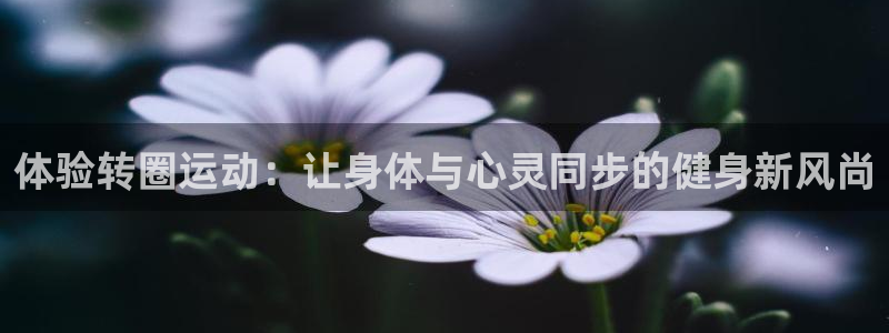 意昂体育4平台是正规平台吗