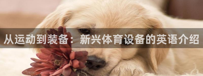 意昂体育4平台是正规平台吗