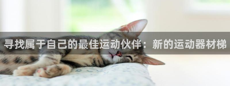 意昂体育4招商电话号码是多少啊:寻找属于自己的最佳运动伙伴: