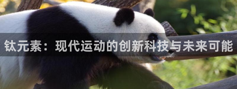 意昂体育4招商电话地址是多少：钛元素：现代运动的创新科技与未