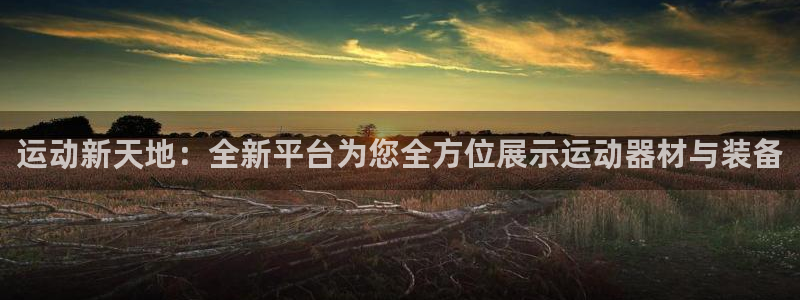 意昂体育4平台注册流程图：运动新天地：全新平台为您全方位展示